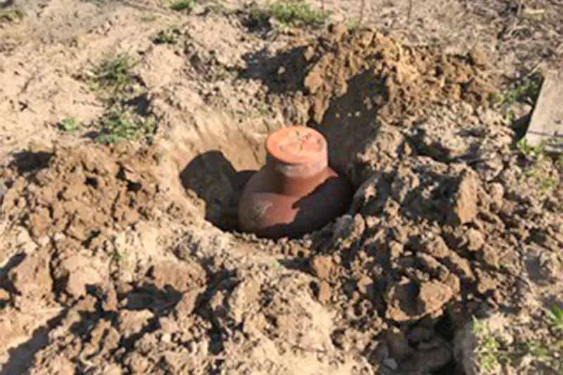 Una olla de terracota está siendo enterrada en suelo marrón.
