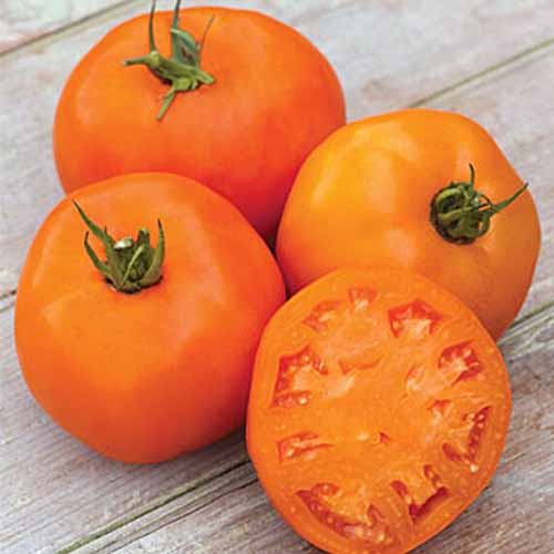 Un primer plano de tres tomates 'Orange Slice' de color naranja intenso, con uno cortado por la mitad.