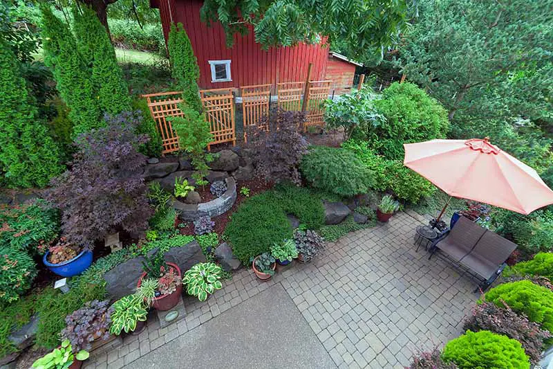Una imagen horizontal tomada desde arriba de una escena de patio con una gran variedad de diferentes arbustos plantados en macetas y contenedores.