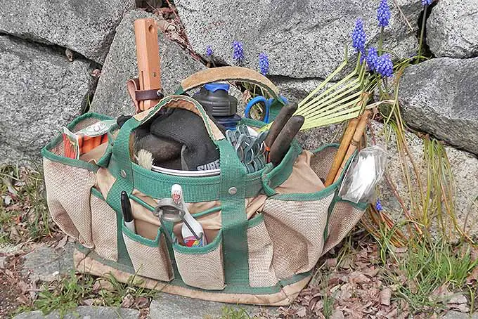Una bolsa de herramientas de jardinería verde y marrón llena de herramientas, semillas y otros suministros de jardinería, con una pared de roca y jacintos de uva en flor en el fondo.