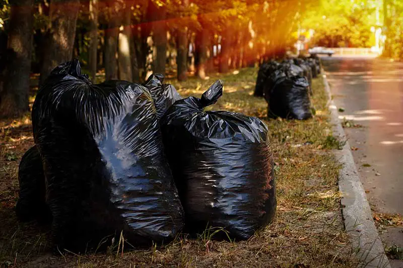 Una imagen horizontal de una calle con bolsas de plástico negras llenas de hojas de otoño representadas en la luz del sol filtrada.