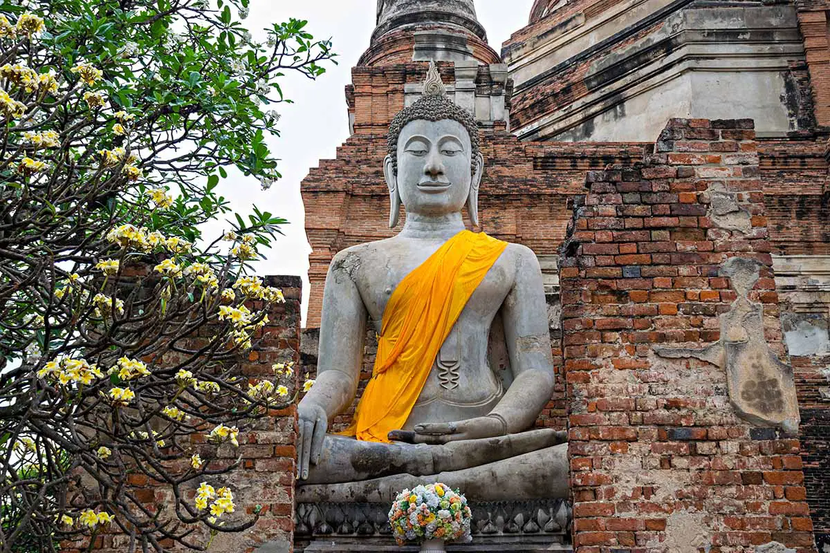 Una imagen horizontal de una estatua de Buda fuera de un monasterio de ladrillo con un árbol de frangipani a la izquierda del marco.