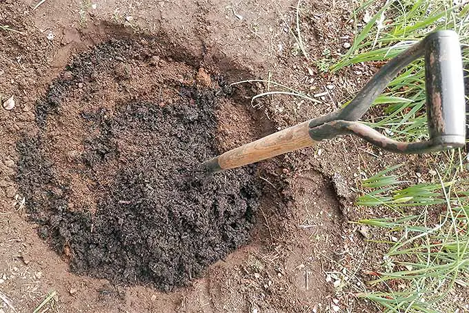 Se cava un hoyo en el suelo de color marrón rojizo con una pala clavada en él, y se mezcla compost de color marrón oscuro en él.