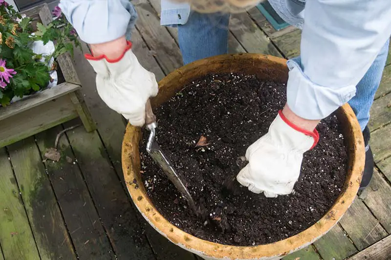 Una imagen horizontal de primer plano de un jardinero con guantes blancos preparando una maceta de terracota para plantar.
