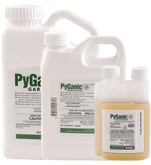 Spray líquido de piretrina de jardinería PyGanic sobre fondo blanco aislado