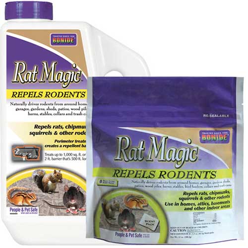 Una imagen cuadrada de primer plano del envase del repelente de roedores Rat Magic sobre un fondo blanco.