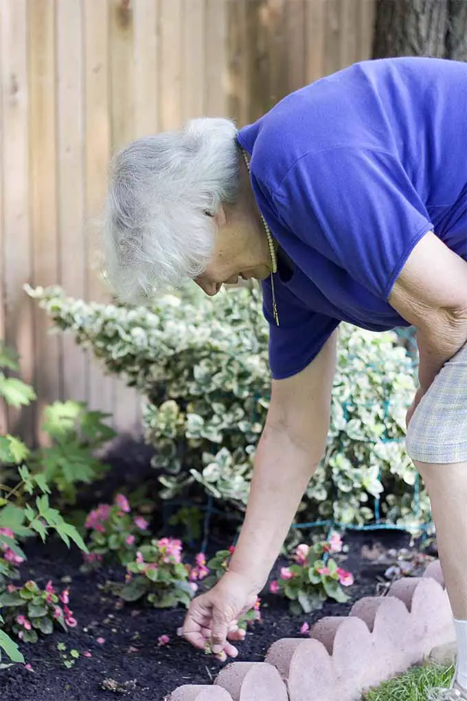 Explore los beneficios de la jardinería hasta bien entrada la tercera edad: