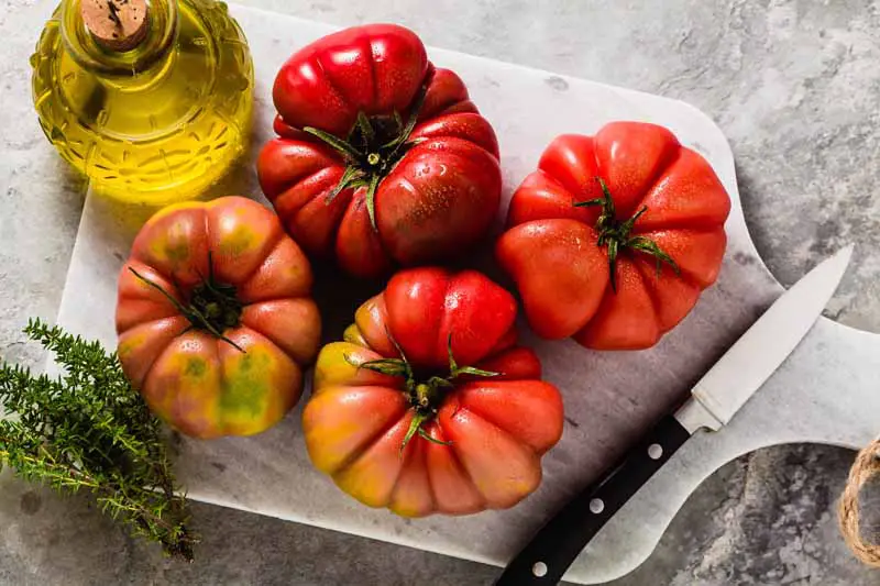 Una imagen horizontal de cerca de cuatro tomates rojos 'Brandywine' colocados en una tabla de cortar de mármol con aceite de oliva, tomillo y un cuchillo.