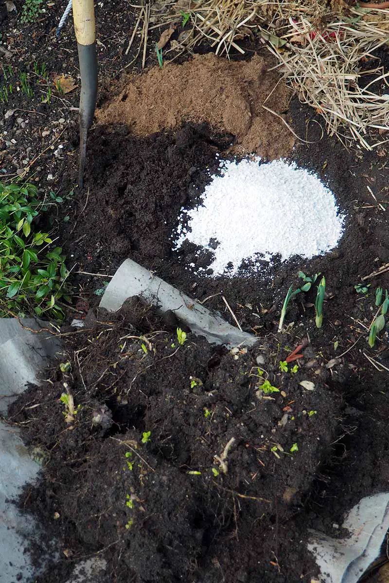 Una imagen vertical de una pala cavando enmiendas en el suelo antes de plantar.
