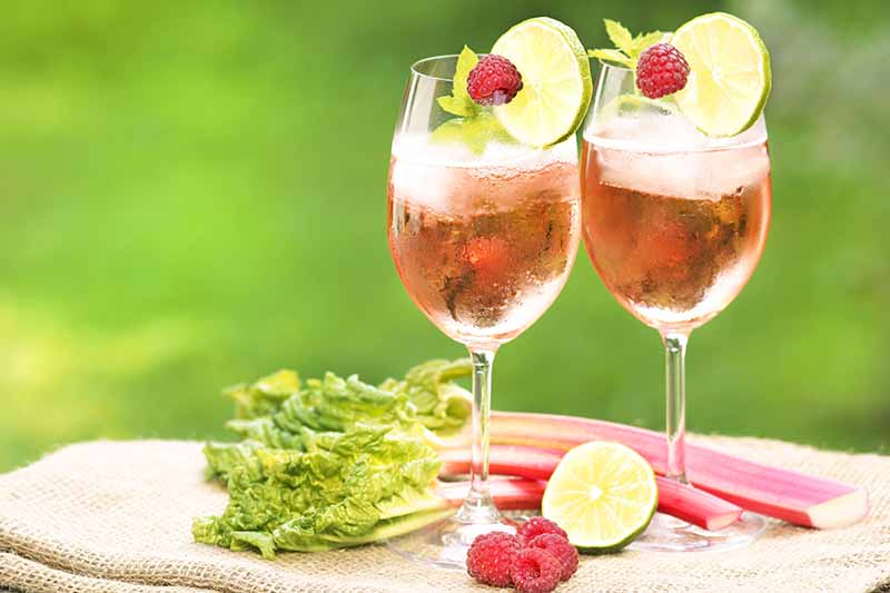 Un primer plano de dos copas de vino que contienen una bebida rosa con una frambuesa y una rodaja de limón en el borde de las copas.  Sobre una tela rústica, hay tallos de ruibarbo y media lima.  El fondo es verde en foco suave.
