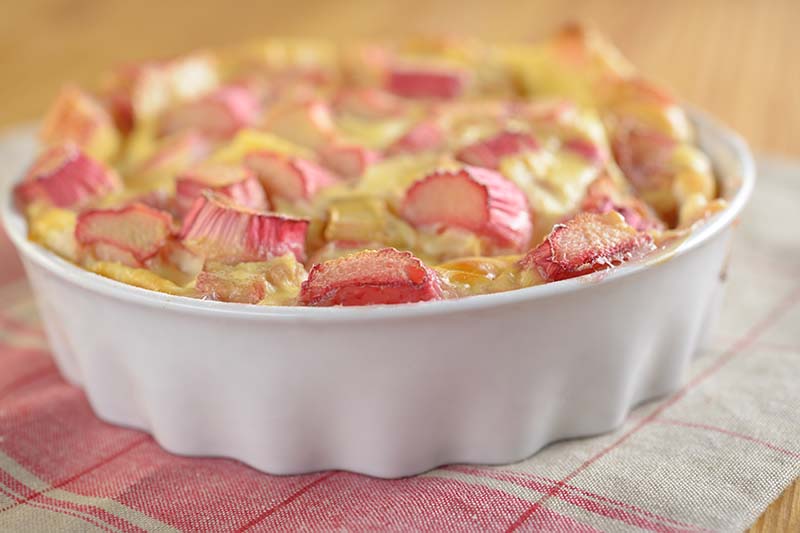 Un primer plano de un plato para hornear blanco colocado sobre un paño de tela a cuadros rosa y blanco, con un pastel de ruibarbo rústico recién salido del horno, que se desvanece en un enfoque suave en el fondo.