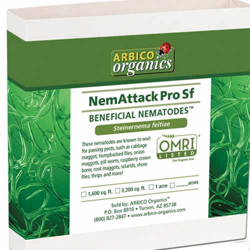 Un primer plano del envase de nematodos beneficiosos NemAttack Pro Sf sobre un fondo blanco.