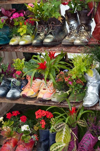 Los zapatos y botas desgastados y usados ​​sirven como maceteros, dispuestos en filas en un estante, llenos de varias suculentas, flores, bromelias y plantas de oración.