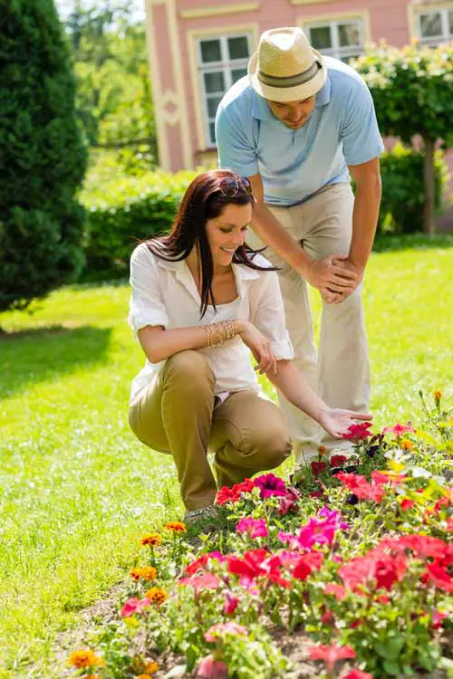 Un hombre y una mujer examinan las flores rojas que crecen en un borde de su jardín, fotografiadas a la luz del sol con una casa al fondo.