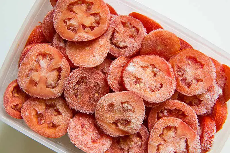Una imagen horizontal de arriba hacia abajo de un pequeño recipiente de plástico lleno de tomates congelados en rodajas, sobre una superficie blanca.