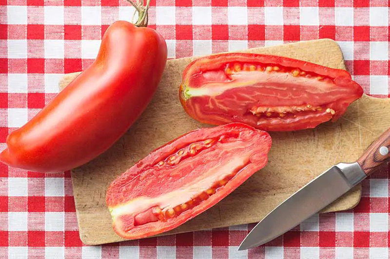 Un primer plano de una gran pasta de tomate en rodajas sobre una tabla de cortar de madera, con un cuchillo a la derecha del marco, colocado sobre un mantel de tela a cuadros rojos y blancos.