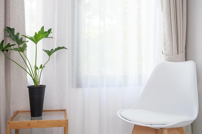 Una imagen horizontal de primer plano de un asiento blanco situado cerca de una ventana con un pequeño filodendro de árbol que crece en una olla negra sobre una mesa de cristal.