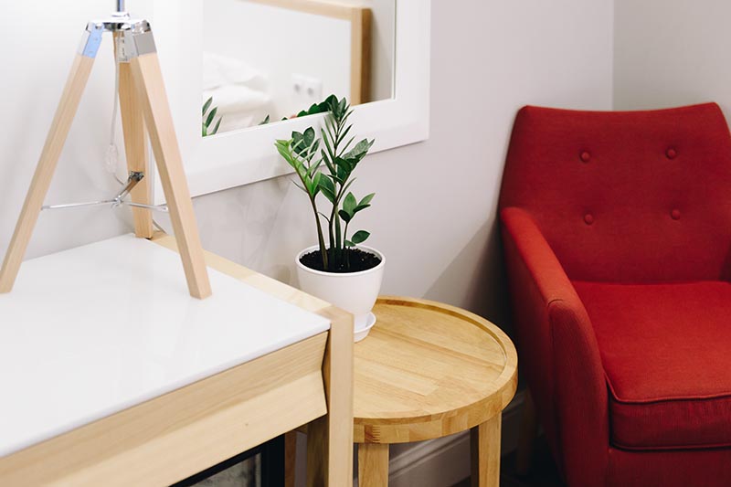 Una imagen horizontal de cerca de una pequeña planta de Zamioculcas zamiifolia que crece en una maceta blanca colocada sobre una mesa de madera en una sala de estar.