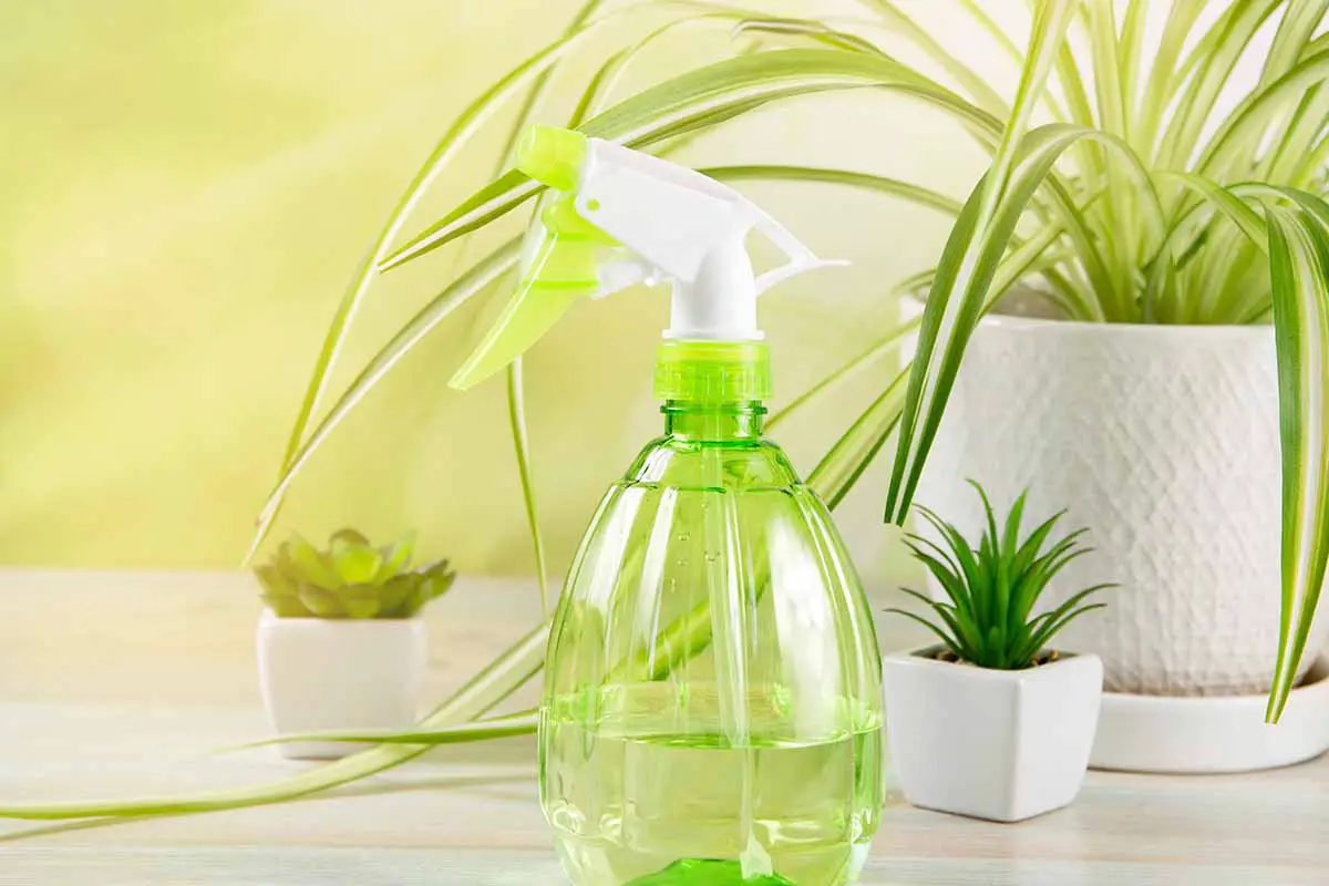 Una imagen horizontal de primer plano de una botella de spray verde con plantas de interior detrás de ella en un enfoque suave.