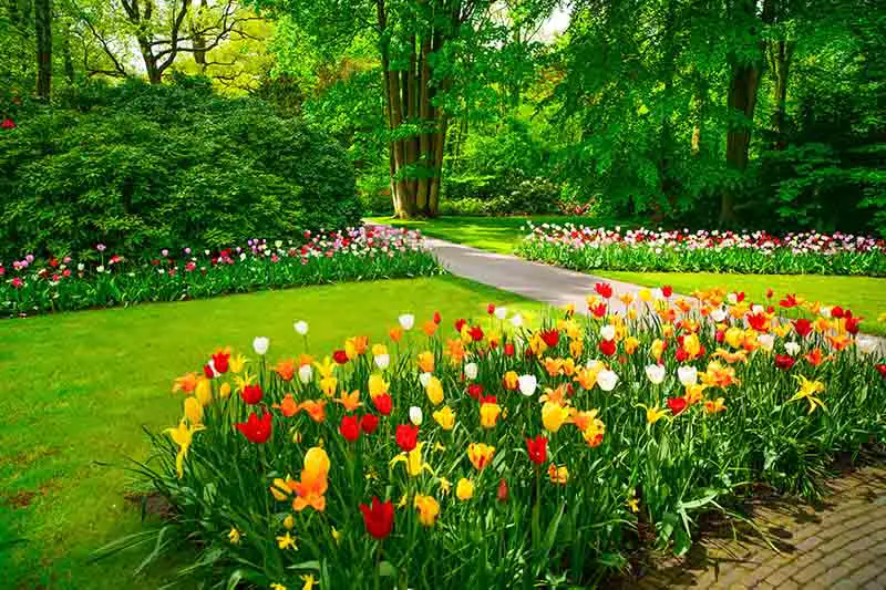 Una escena de jardín con árboles en el fondo y un césped con bordes llenos de flores de primavera.