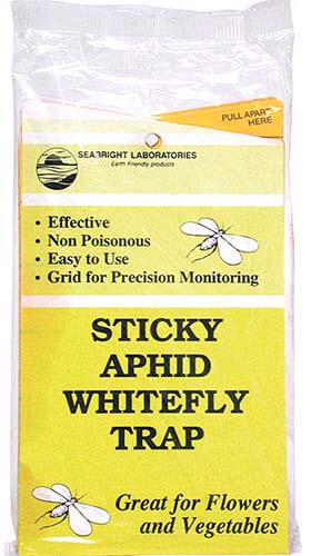 Una imagen vertical de primer plano del embalaje de un conjunto de trampas para moscas blancas Sticky Aphid.