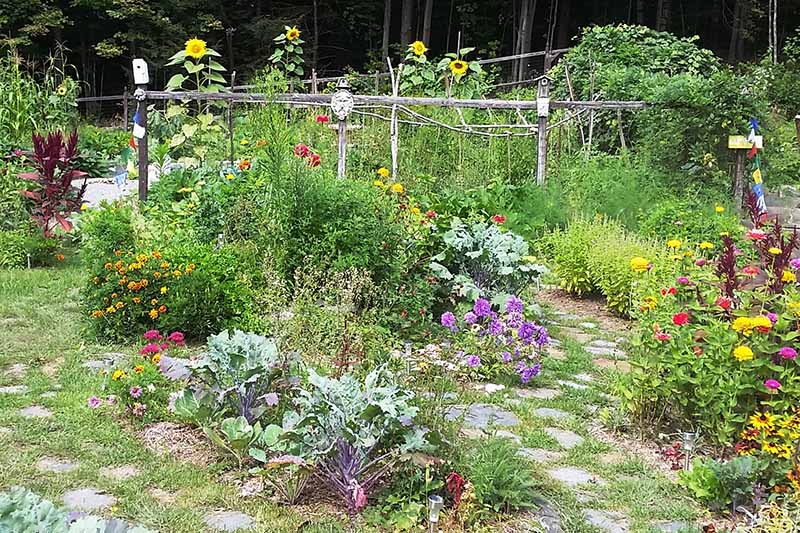 Una imagen horizontal de una vista de un jardín de supervivencia que cultiva una variedad de vegetales y flores diferentes.