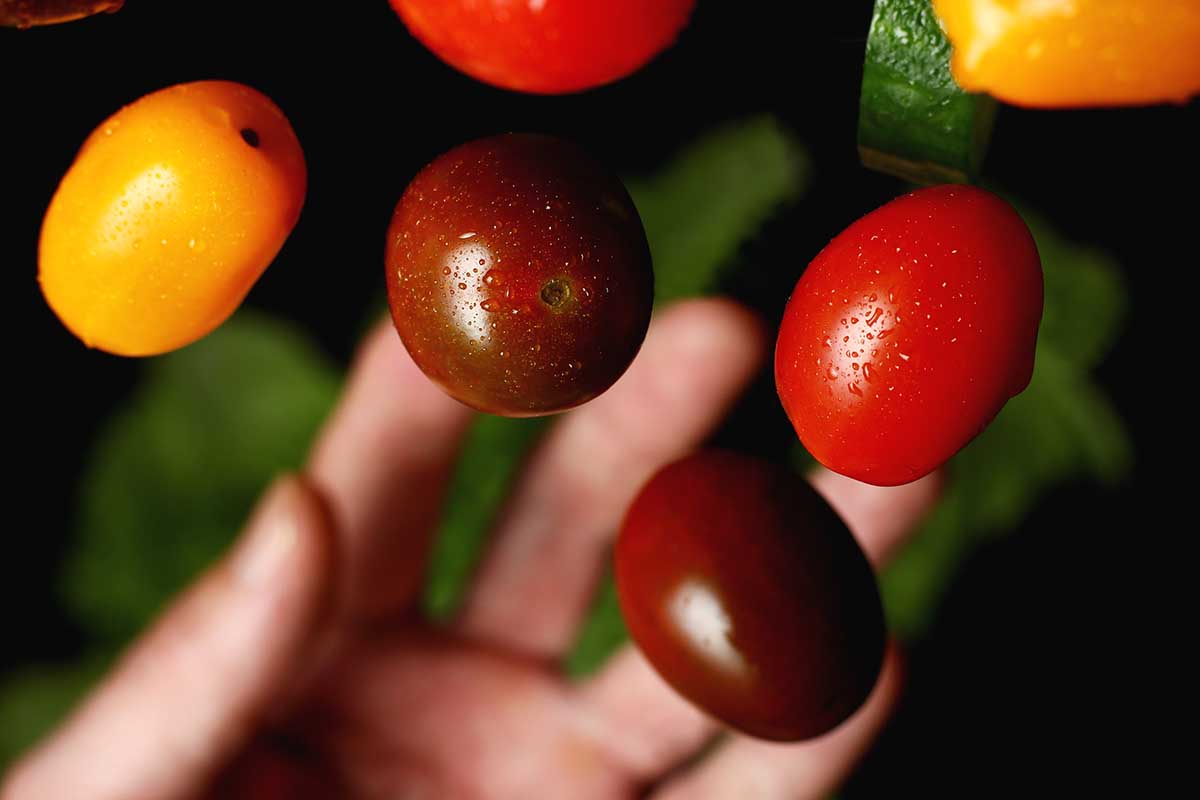 Una imagen horizontal de cerca de una mano desde la parte inferior del marco lanzando pequeños tomates maduros al aire.