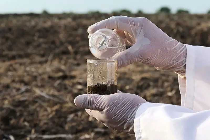 Un primer plano de manos enguantadas desde la derecha del marco vertiendo líquido en un vaso de precipitados de tierra para probar el contenido de nutrientes.