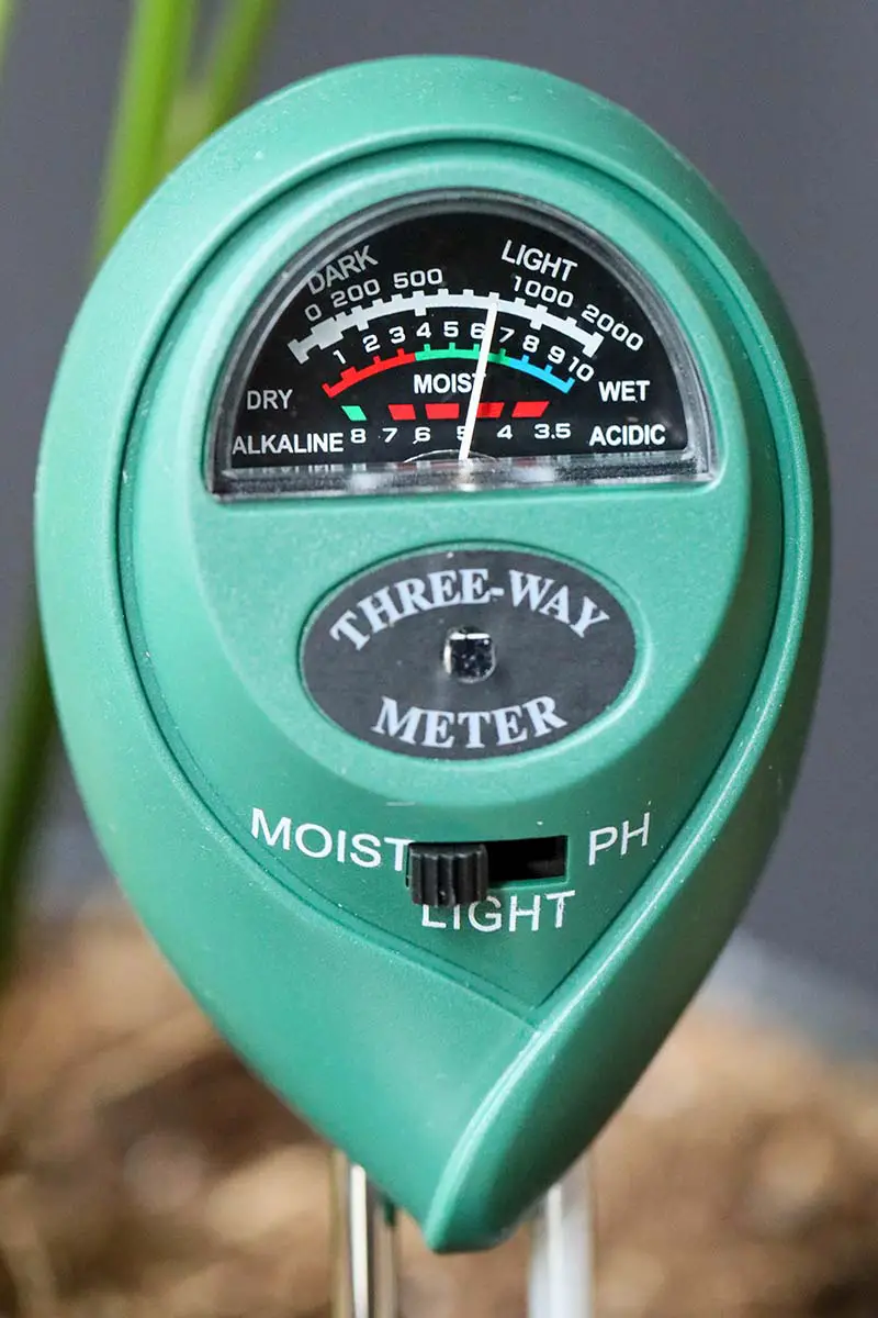 Una imagen vertical de primer plano de un higrómetro de tres vías para probar los niveles de pH, agua y luz representados en un fondo de enfoque suave.