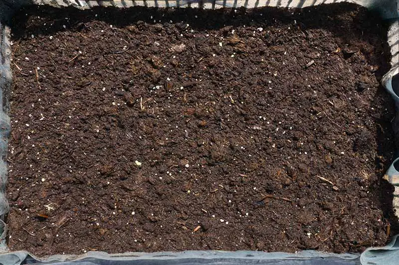 Una imagen horizontal de primer plano de una bandeja llena de tierra lista para sembrar semillas.