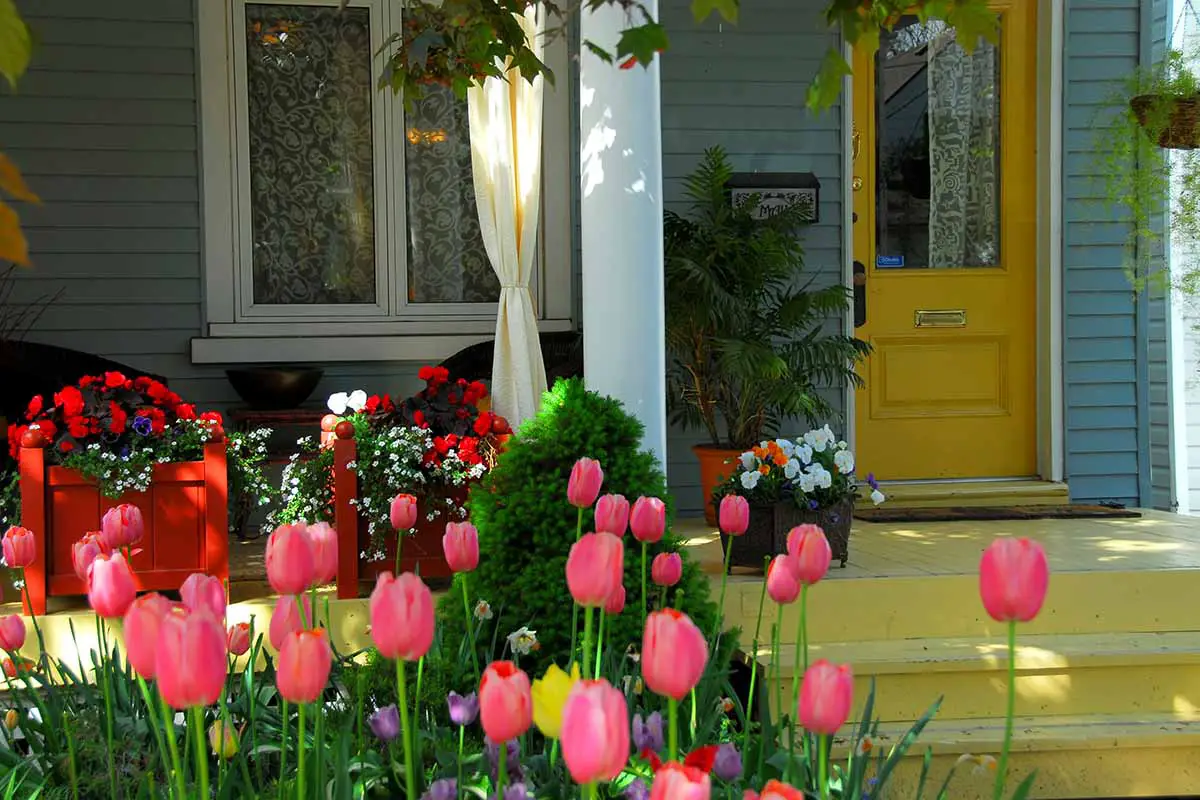 Una imagen horizontal de coloridas flores que crecen en macetas y una cama de jardín fuera de un porche.