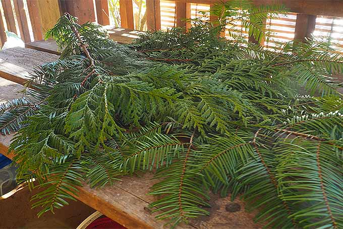Use ramas planas para crear la capa inferior de su botín navideño |  
