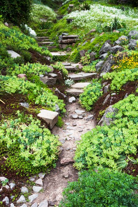 Una imagen vertical de un camino que serpentea a través de un jardín, con cantos rodados y piedras a ambos lados, entre arbustos y plantas.  En la distancia hay árboles altos con un enfoque suave.