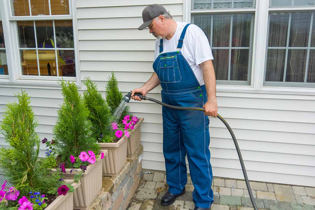 Una imagen horizontal de un jardinero regando plantas en macetas fuera de una residencia.