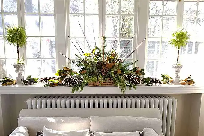 Aprende a decorar tu hogar para las fiestas con follaje de invierno.  |  
