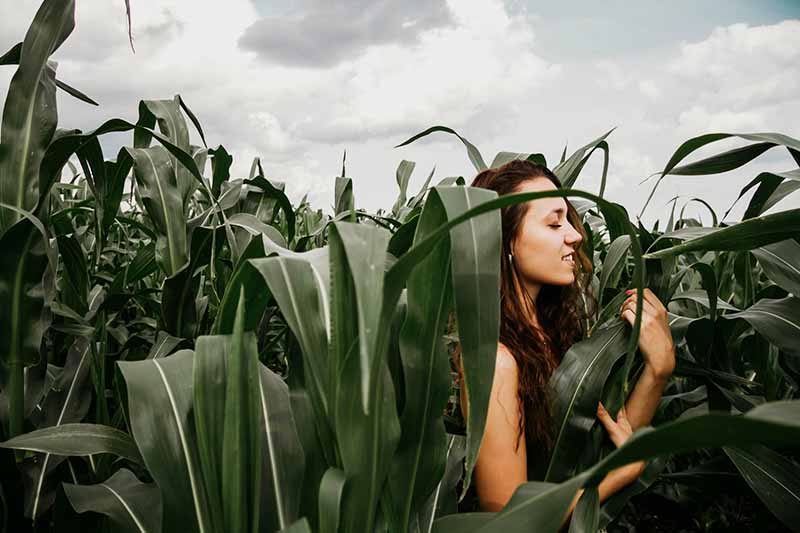 Una mujer joven con los hombros desnudos y cabello castaño largo en un campo de maíz con los ojos cerrados, con nubes blancas en el fondo.