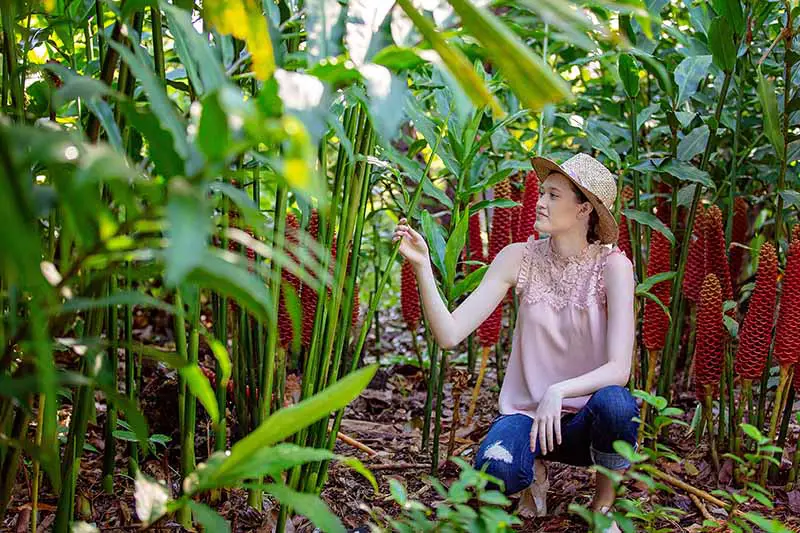 Una mujer arrodillada entre plantas, inspeccionando los tallos y hablándoles.