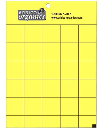 Una imagen vertical de primer plano de correas adhesivas amarillas utilizadas para controlar las poblaciones de plagas en el jardín.