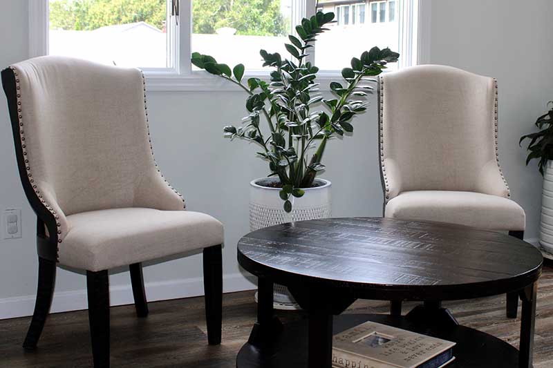 Una imagen horizontal de primer plano de una elegante sala de estar con dos sillas y una mesa de madera con una Zamioculcas zamiifolia en maceta junto a una ventana.