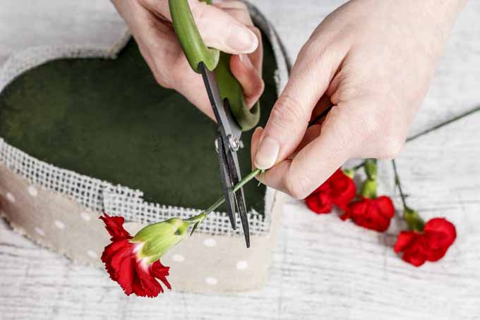 Una guía fácil para crear un centro de mesa romántico con un corazón floreciente |  