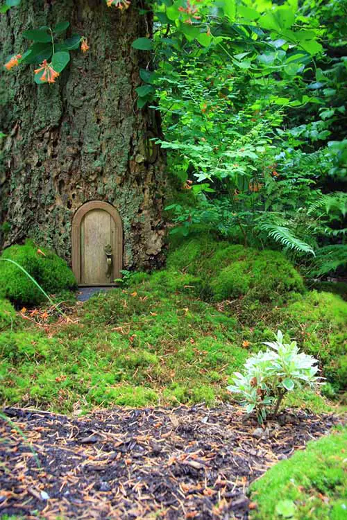 Una imagen vertical de un gran árbol con una puerta de madera en el tronco, rodeado de follaje y musgo en un entorno boscoso.