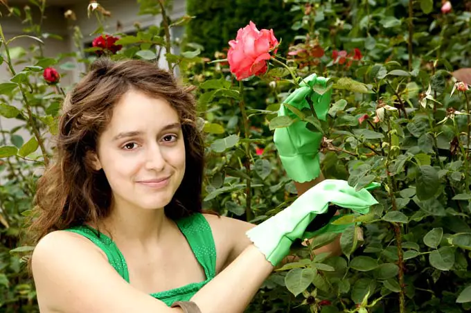 Una mujer con guantes y sosteniendo el tallo de una rosa en una mano y unas tijeras en la otra sonríe mientras poda las plantas.